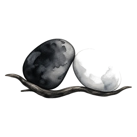 One dark stone and one pale stone resting side by side on a single leaf.