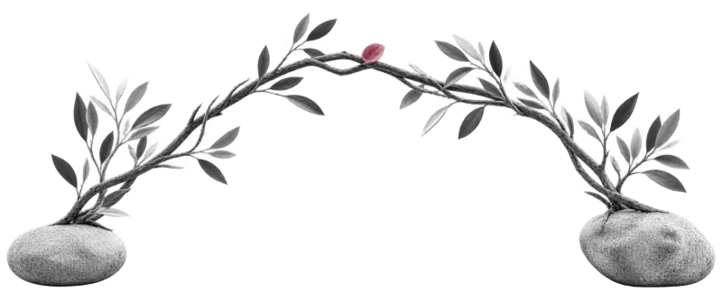 Two leafy branches growing from separate stones and arching toward each other, meeting at a single small pink bud at the top.