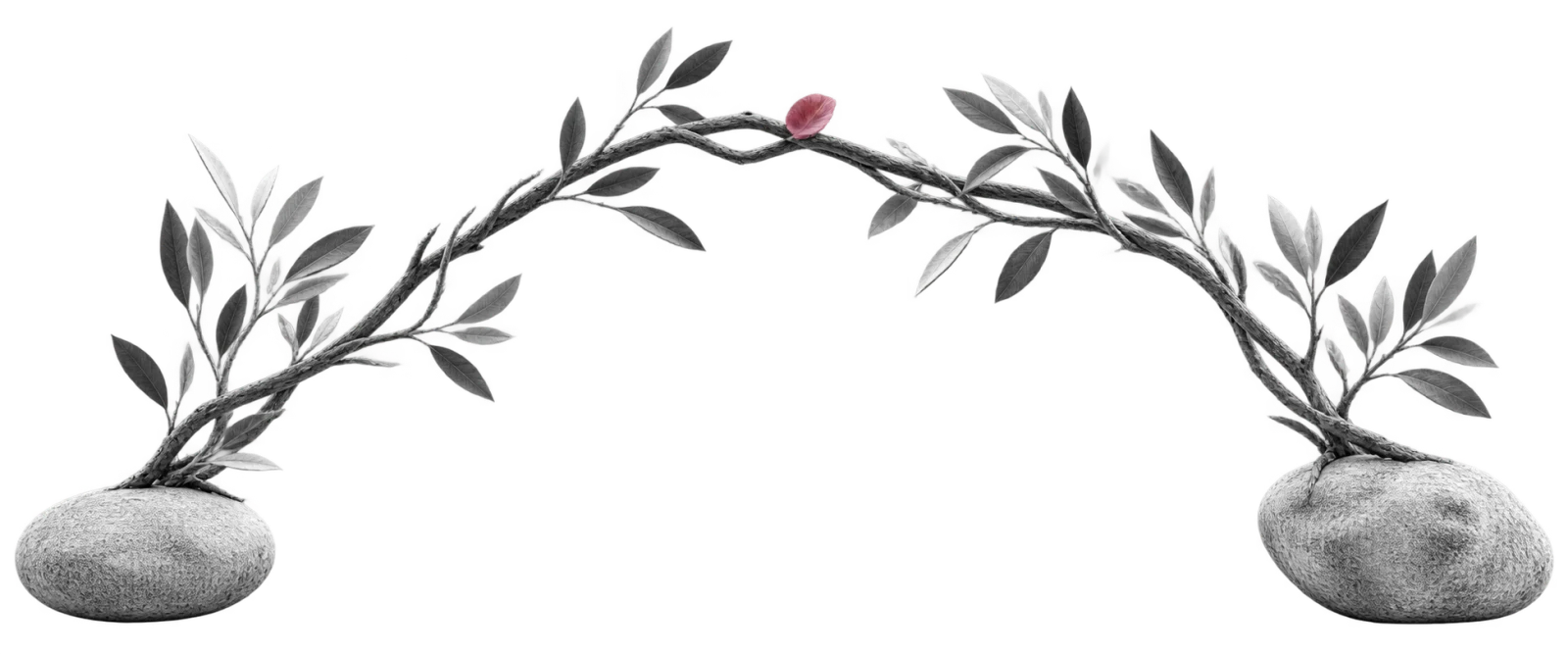 Two leafy branches growing from separate stones and arching toward each other, meeting at a single small pink bud at the top.