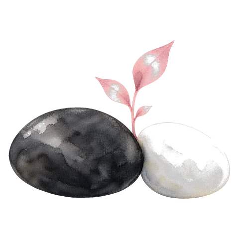 A dark stone and a pale stone side by side, a pink shoot rising from between them.